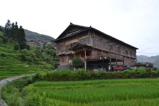 山间木屋旁的翠绿稻田