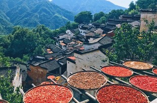 山村晒秋美景