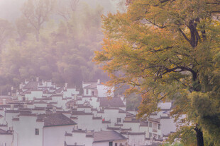 秋日雾中徽派村落美景