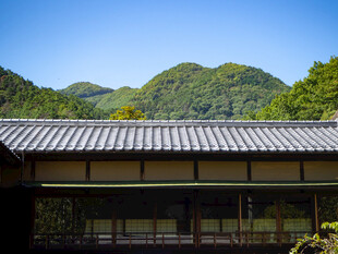 日式传统建筑与青山美景