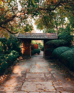 幽静庭院中的林间小道