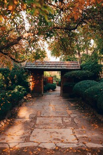 秋日庭院石板小径美景