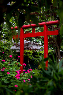 日式鸟居隐于繁花绿植间