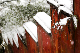雪覆红栅栏的冬日景致