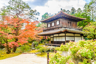 日式古建庭院美景