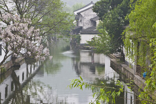 江南水乡春日河畔美景
