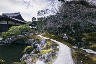 日式庭院小径静谧景致