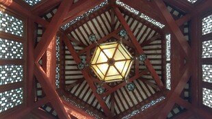 华丽六角星穹顶内部景观