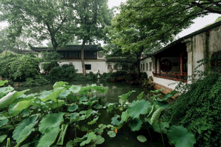 庭院绿植环绕的静谧小屋