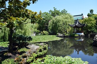 中式园林池塘美景