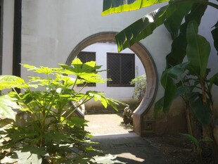 中式庭院圆门绿植景致