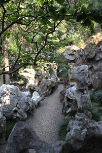 山间石径绿意环绕之景