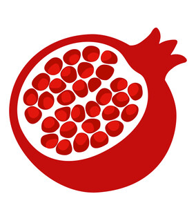 简约红色切开石榴图标