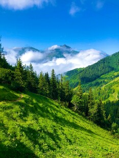 青山绿野间的云端美景