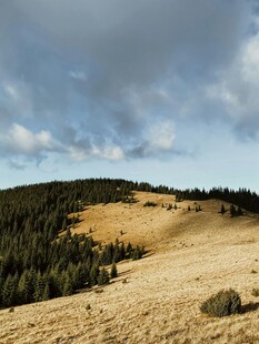 山间旷野美景
