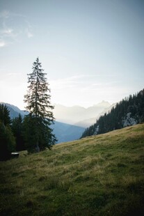 山间草地旁的