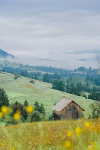 山间小屋旁的