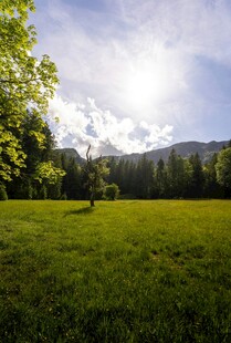 绿野山林间的自然美景