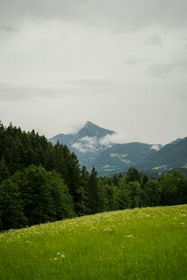 绿野山林间的