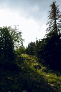 山间绿意盎然的自然景致