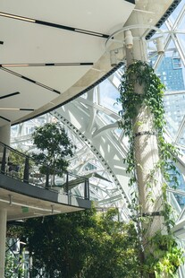 室内绿植环绕