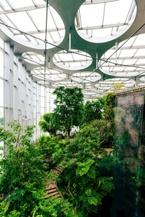 室内绿植景观