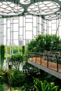 温室绿植景观