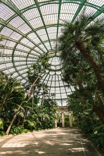 温室中的绿植景观