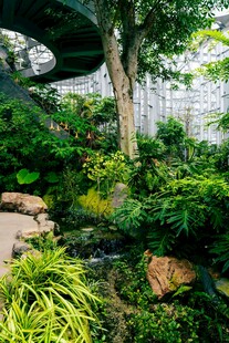 静谧庭院绿植景观