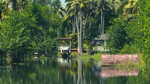 宁静河畔美景
