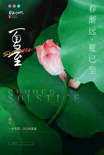 夏至