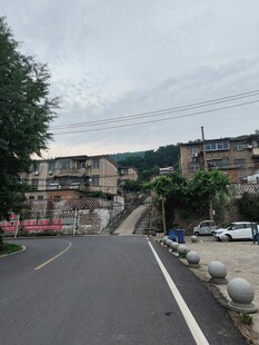 乡村道路旁的民居景象