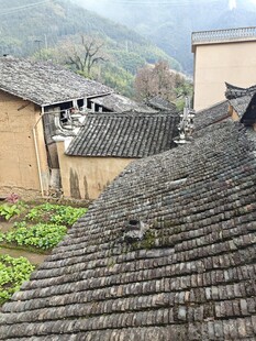 后畲村