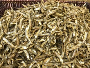 干海鱼