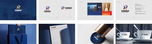 视觉VI设计 logo提案设计