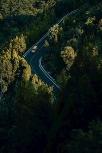 山间蜿蜒公路穿梭于树林