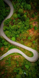 蜿蜒山路穿梭于葱郁山林