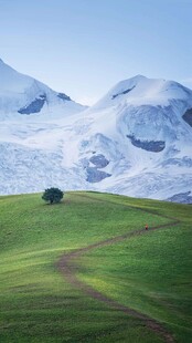 雪山牧场