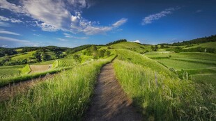 山间小径绿野蓝天美景