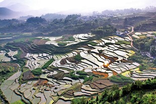 壮丽梯田景观大自然杰作