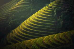 壮丽梯田景观