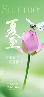夏至节气宣传图片