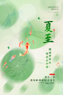 夏至时节荷塘灵动之景