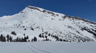 雪山风光