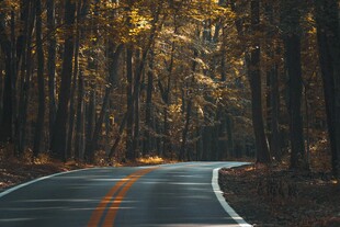 秋日林间蜿蜒公路