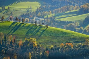 秋日美景