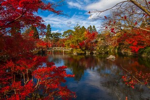 秋日湖畔红叶美景