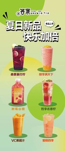 多样美味橙汁饮料展示 