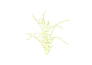 手绘黄色兰花麦穗图案