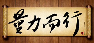 量力而行传统艺术书法毛笔字